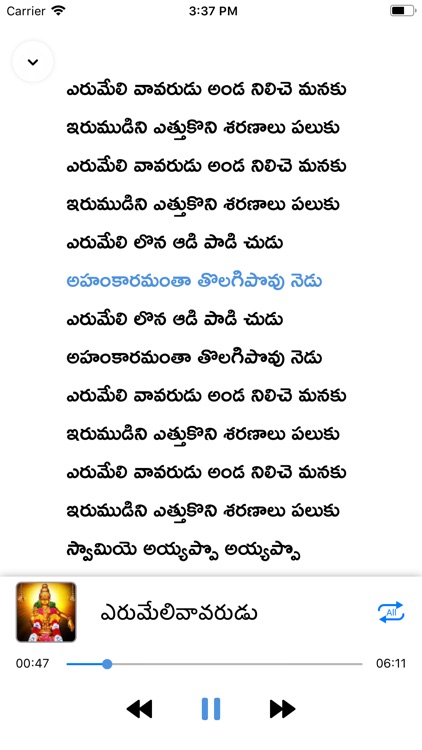Ayyappa Patalu Telugu Songs screenshot-3