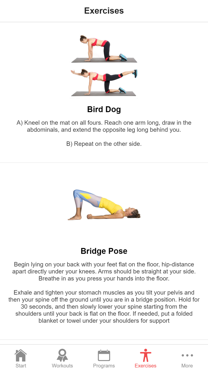 Exercise for Older Adults