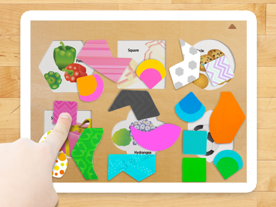 Shape Puzzle iPad screenshot