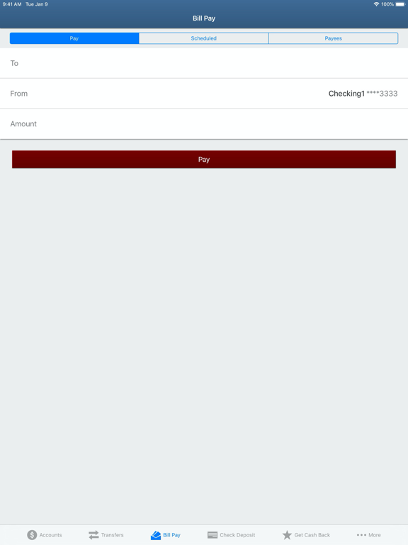 The CSB iPad screenshot 5 - Finance app