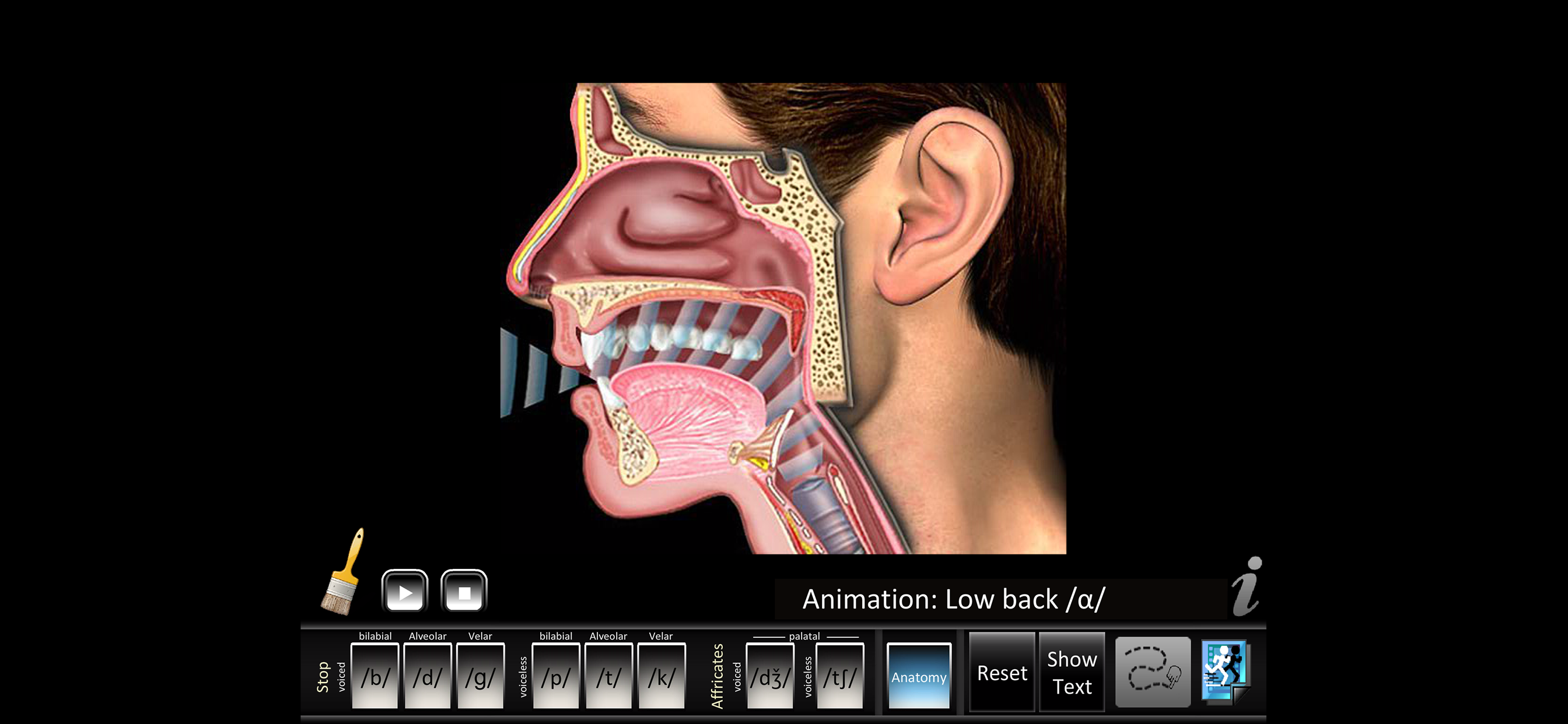 Affricates Stops screenshot 3