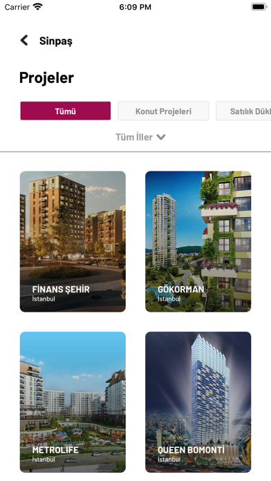 Screenshot #2 pour Sinpaş