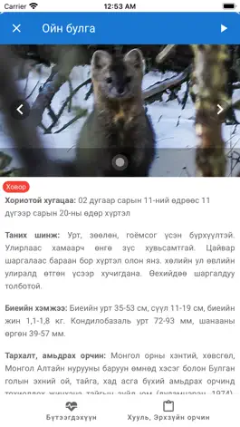 Game screenshot Соргог hack