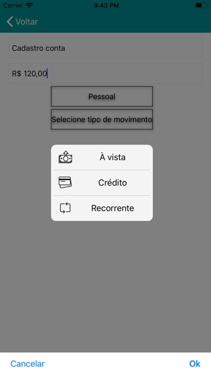 Controle De Gastos screenshot-3