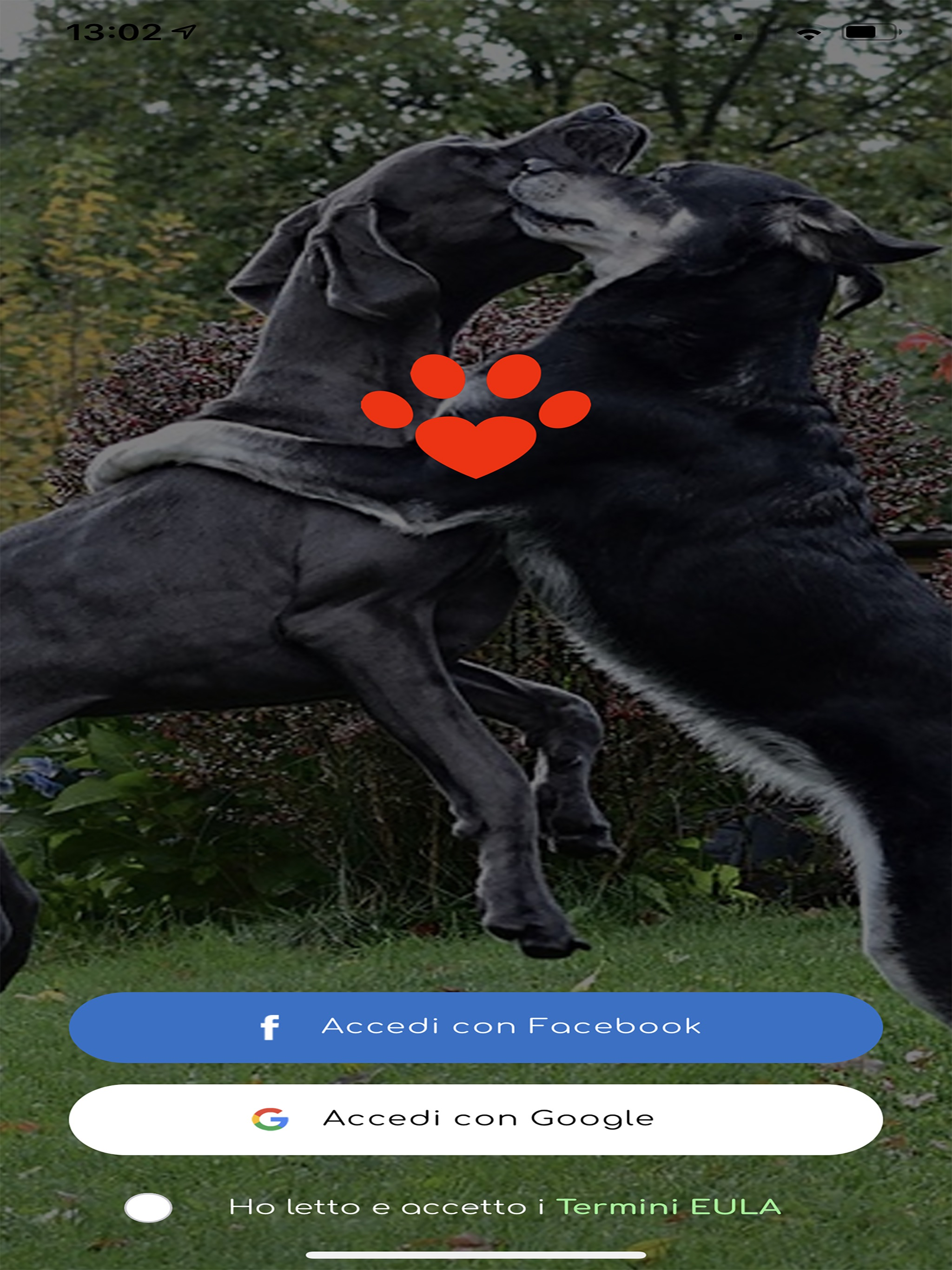 Petdate screenshot 8