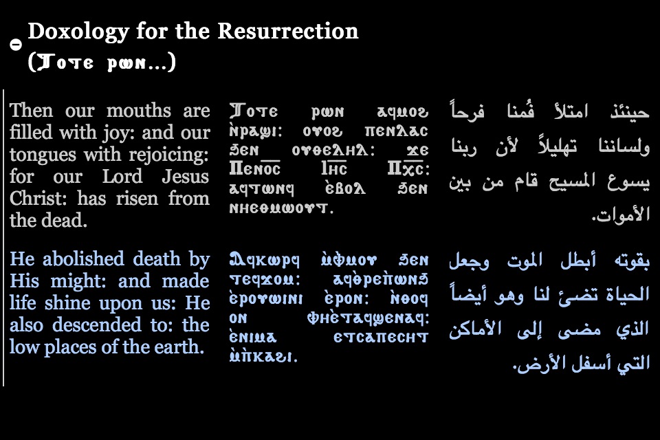 Coptic Reader screenshot 4
