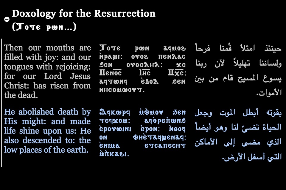 Coptic Reader screenshot 4