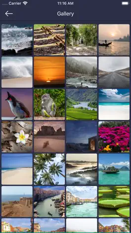 Game screenshot Photv apk