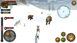 Game screenshot Foxes of the Arctic hack