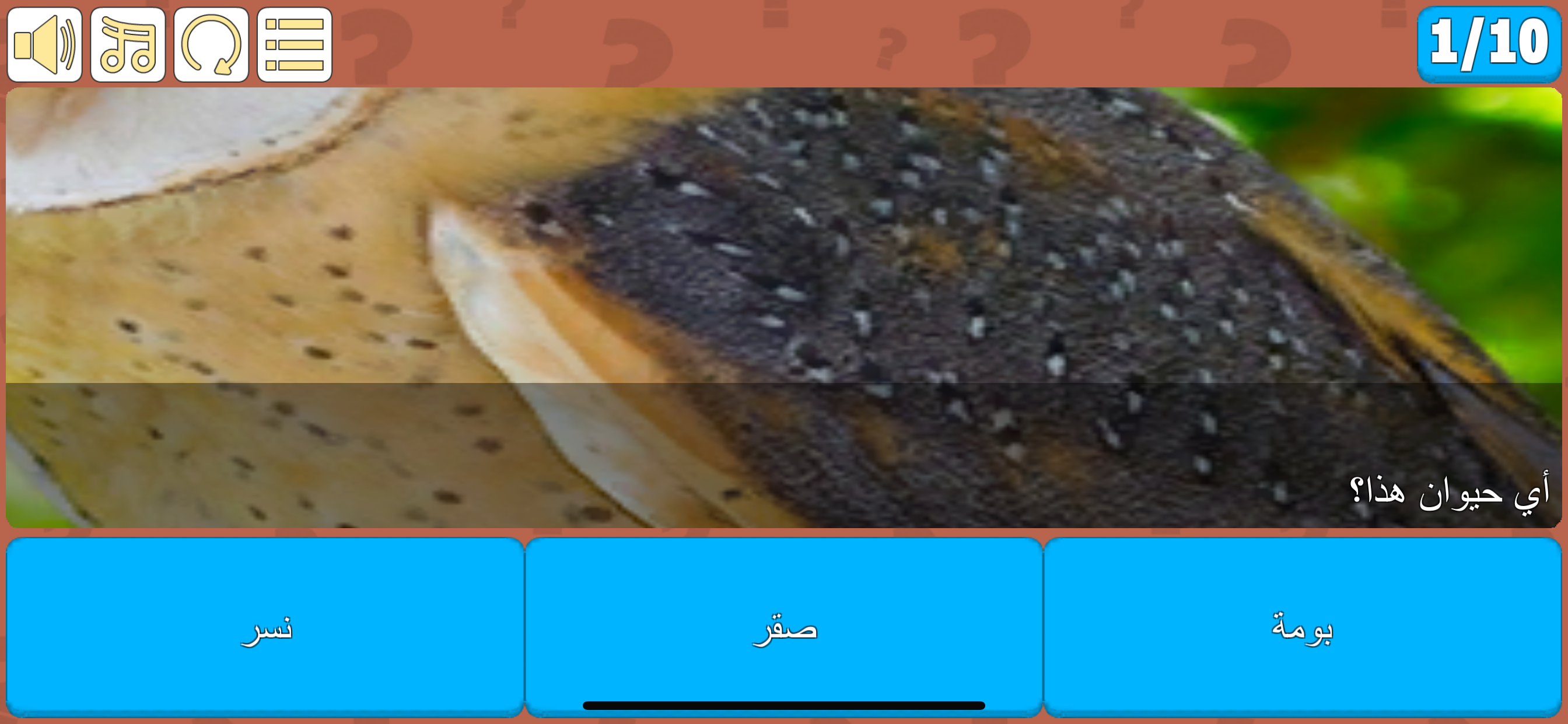 اختبر معلوماتك