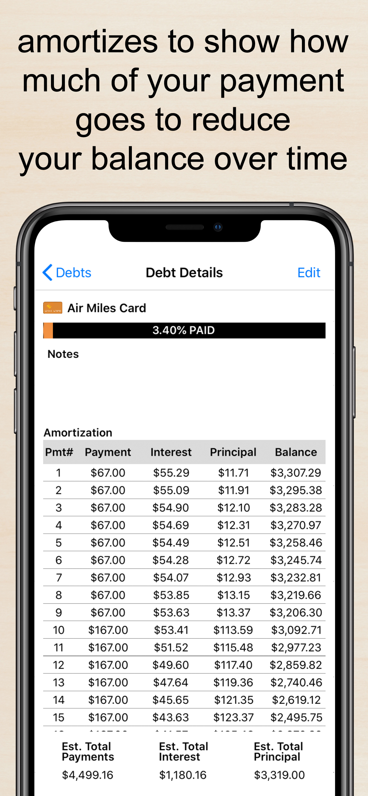 Pay Off Debt by Jackie Beck screenshot 6