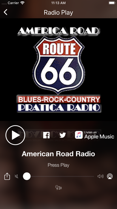 Screenshot #2 pour Musique country classique