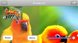 Game screenshot iContrast Pro mod apk