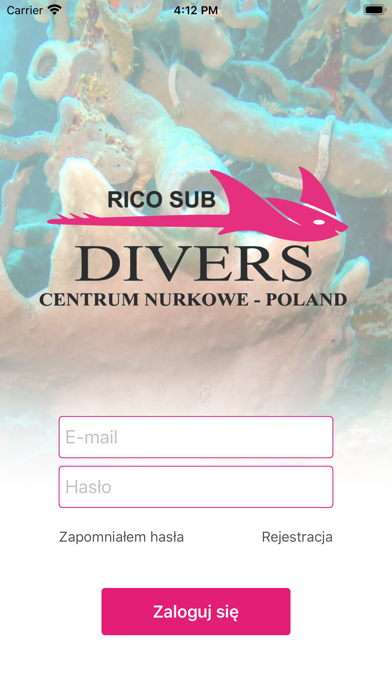 Screenshot #3 pour Ricosub
