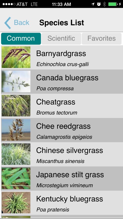 MISIN: Report Invasive Species