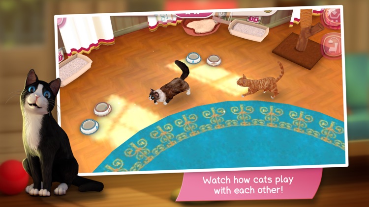 CatHotel - Care for cute cats screenshot-4