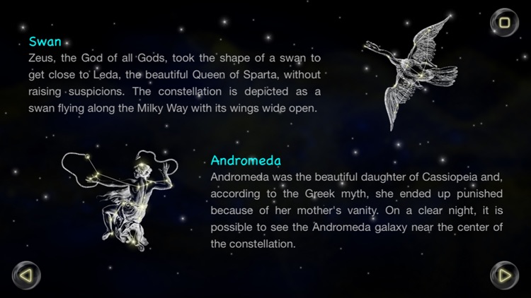 Kiwaka Story screenshot-4