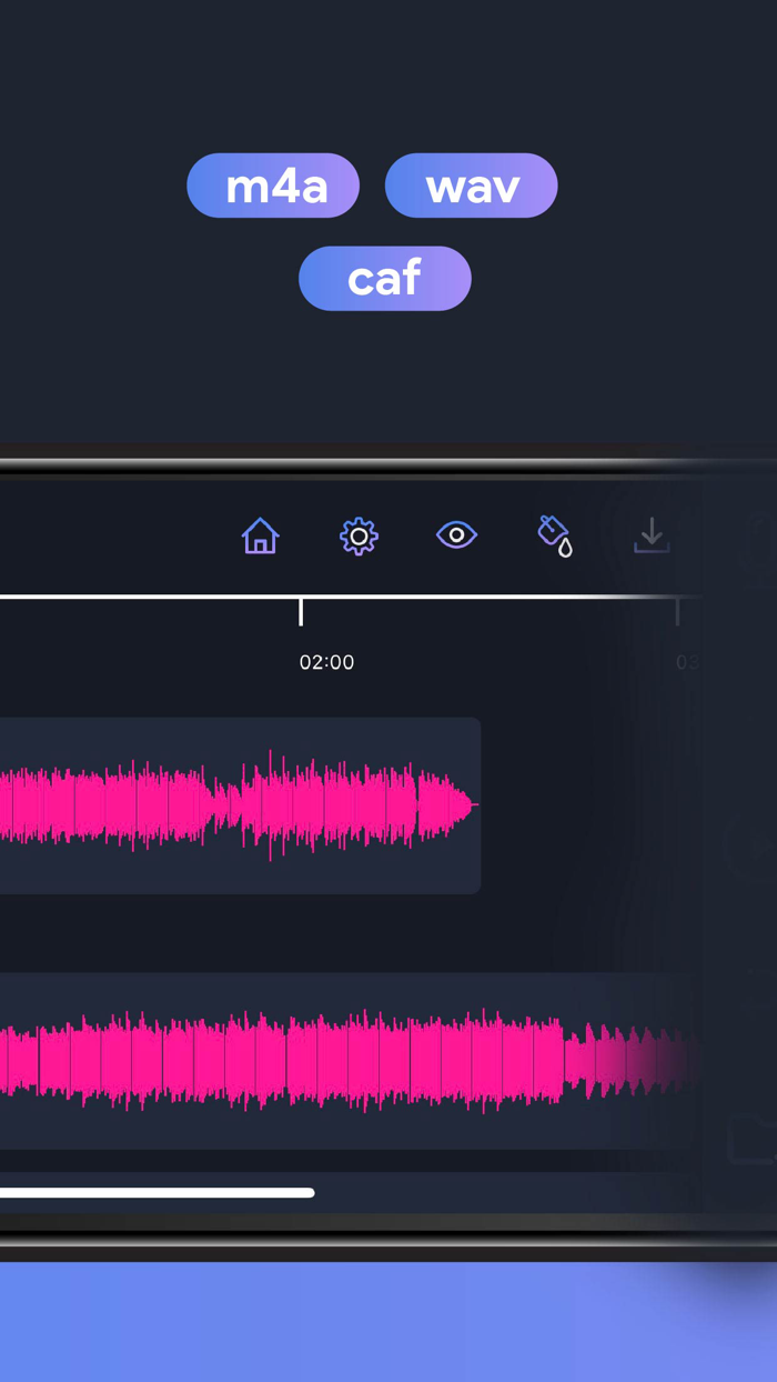 Audio Editor Recording Studio