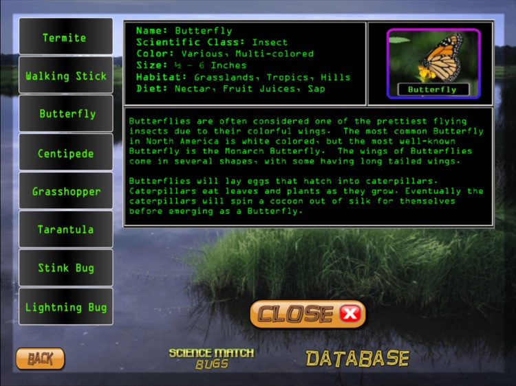 Science Match Bugs screenshot-4