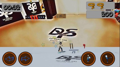 Do Yang Sal: Videogame screenshot 3