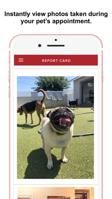 The Dog Republic Screenshot