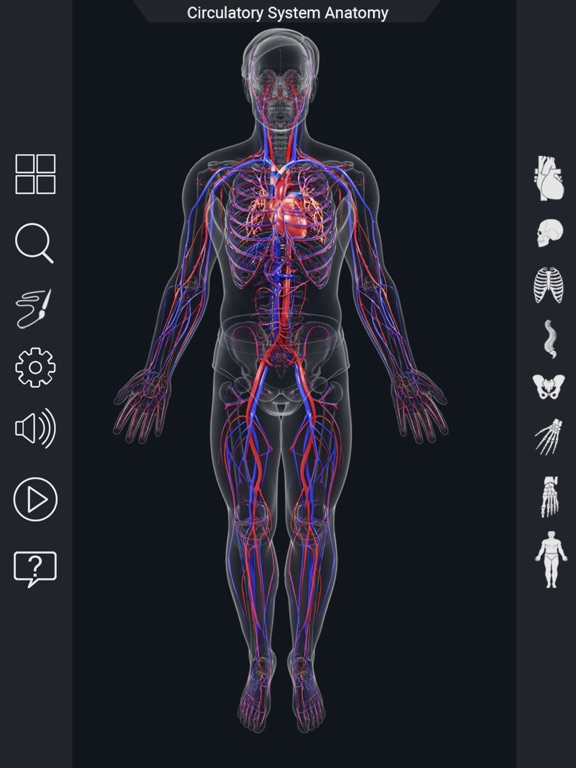Screenshot #6 pour My Circulatory System Anatomy