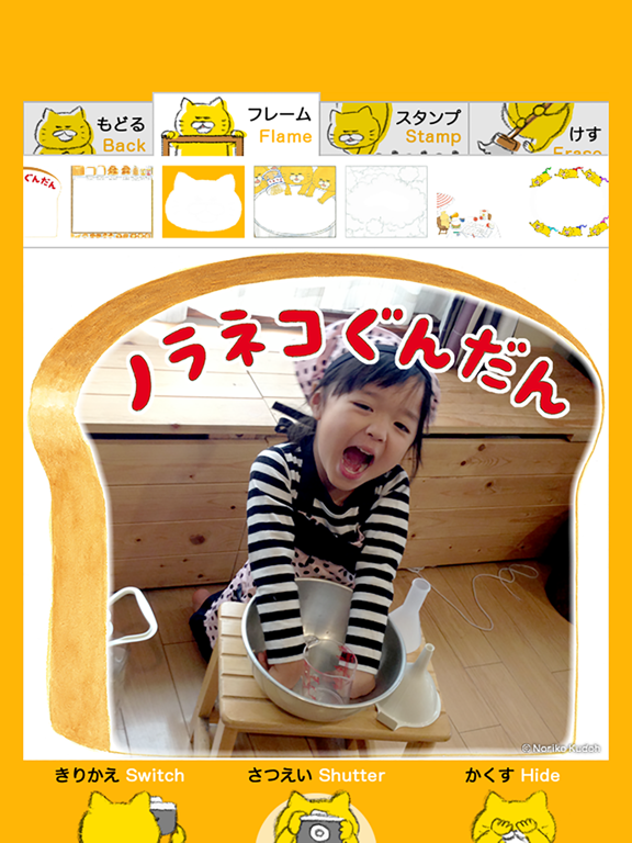 Screenshot #5 pour Stray Cats Camera