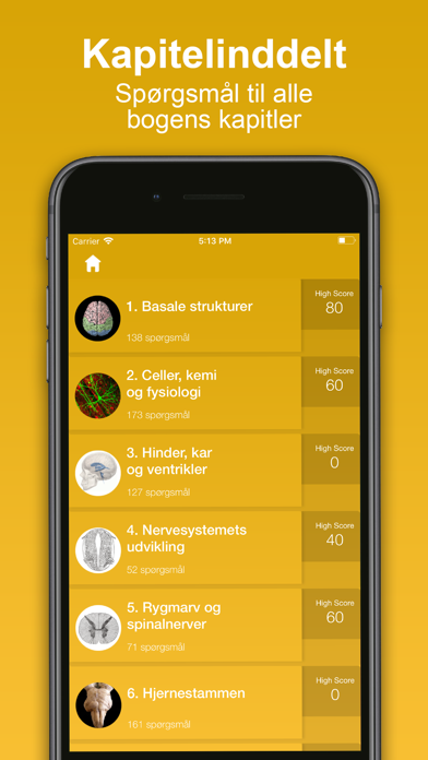 NeuroQuiz screenshot 3