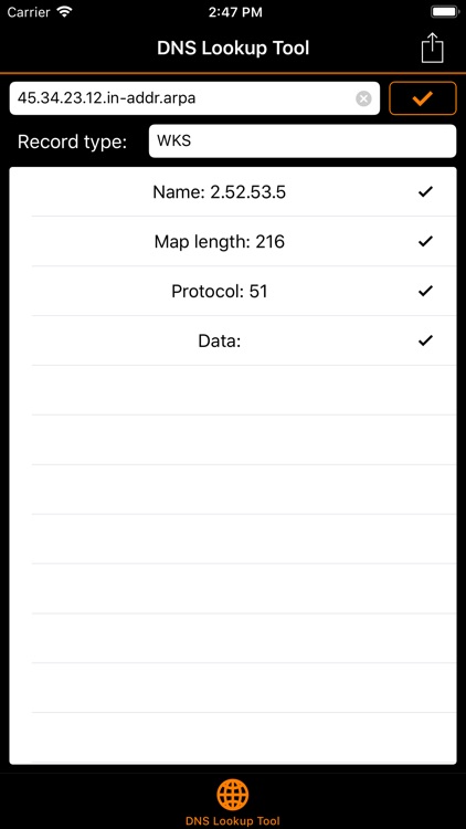 DNS Lookup Tool screenshot-3