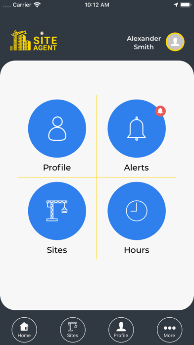 Screenshot #2 pour SiteAgent