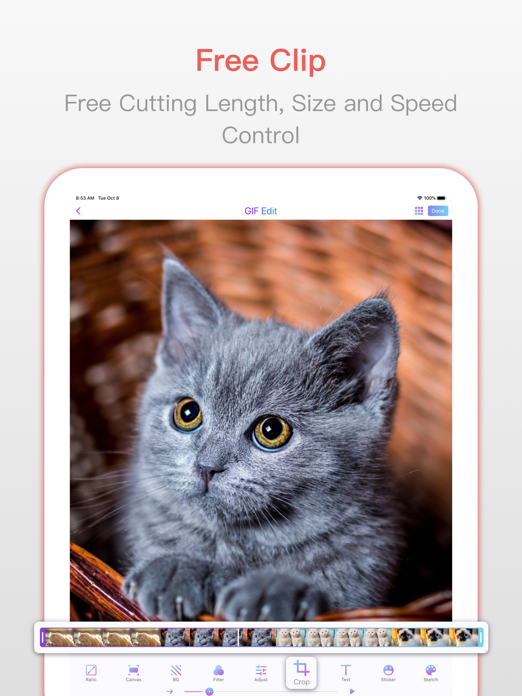 GIF Maker - Videos To GIF screenshot 8