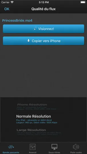 Capture d'écran de VLC Streamer Pro sur iPhone 3