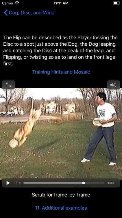 Dog, Disc, and Wind screenshot-4