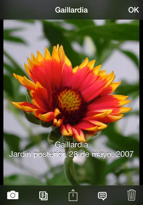 Álbum de Plantas Lite
