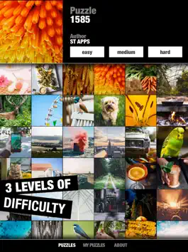Game screenshot Jigsaw Puzzles ST hack