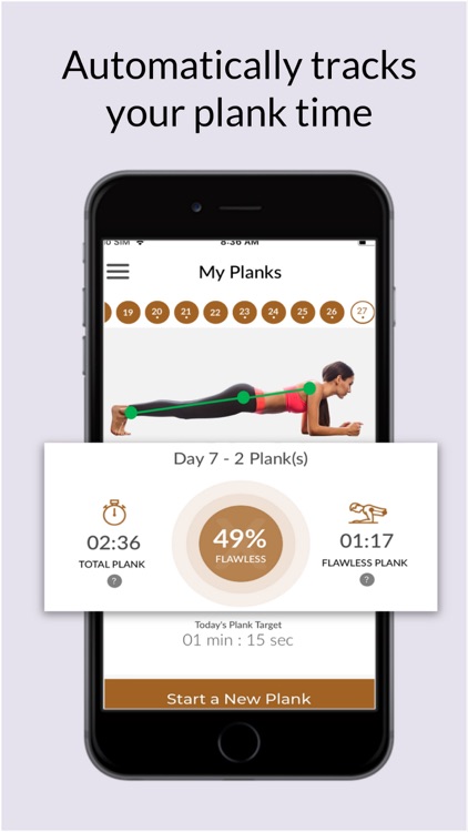 Flawless Plank Workout