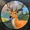 Jungle Deer Hunting Challenge provides you a hunting environment where you have to hunt deer as required per specific objective of the game