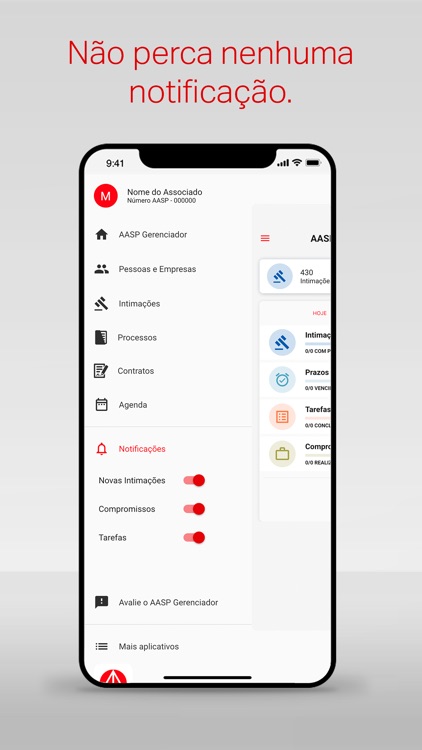 AASP Gerenciador screenshot-5