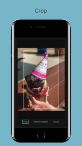 Grid Painter screenshot