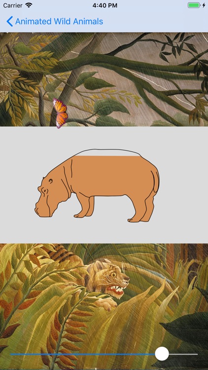 Animated Wild Animals screenshot-8