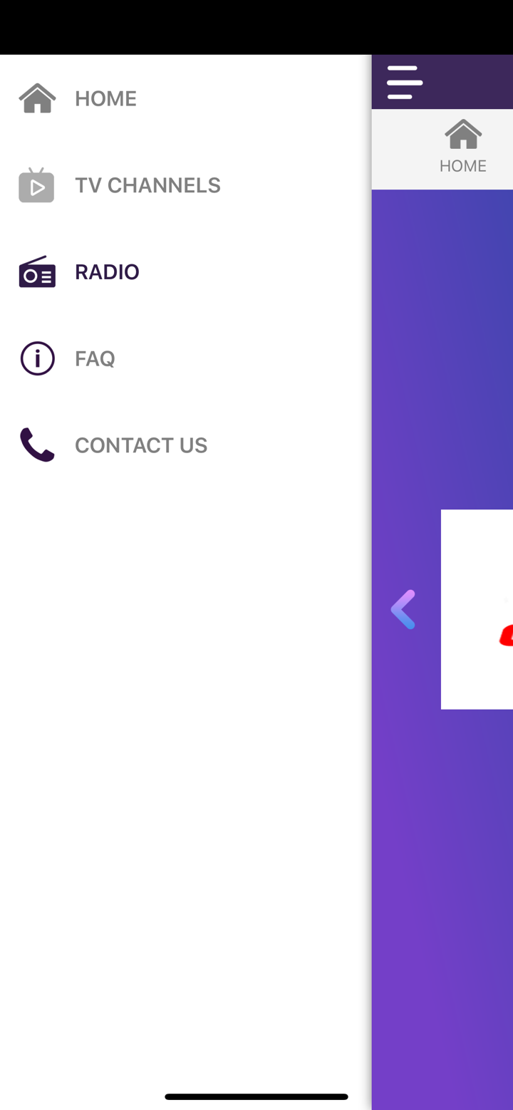 SAALAI TV screenshot 6