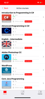 ITAcademy DLS screenshot 3