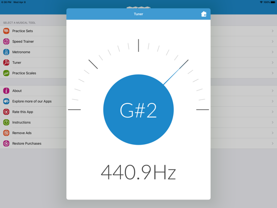 Music Practice Toolkit iPad screenshot 5 - Music app