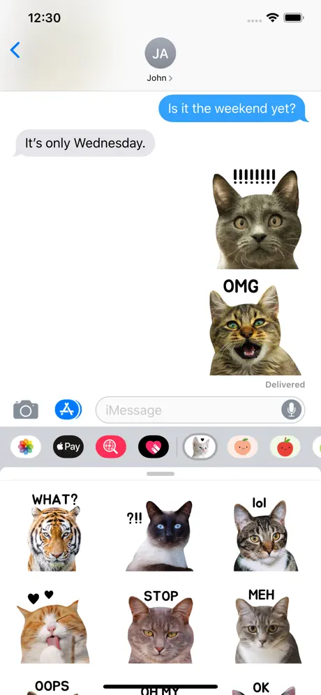 Real Funny Cats