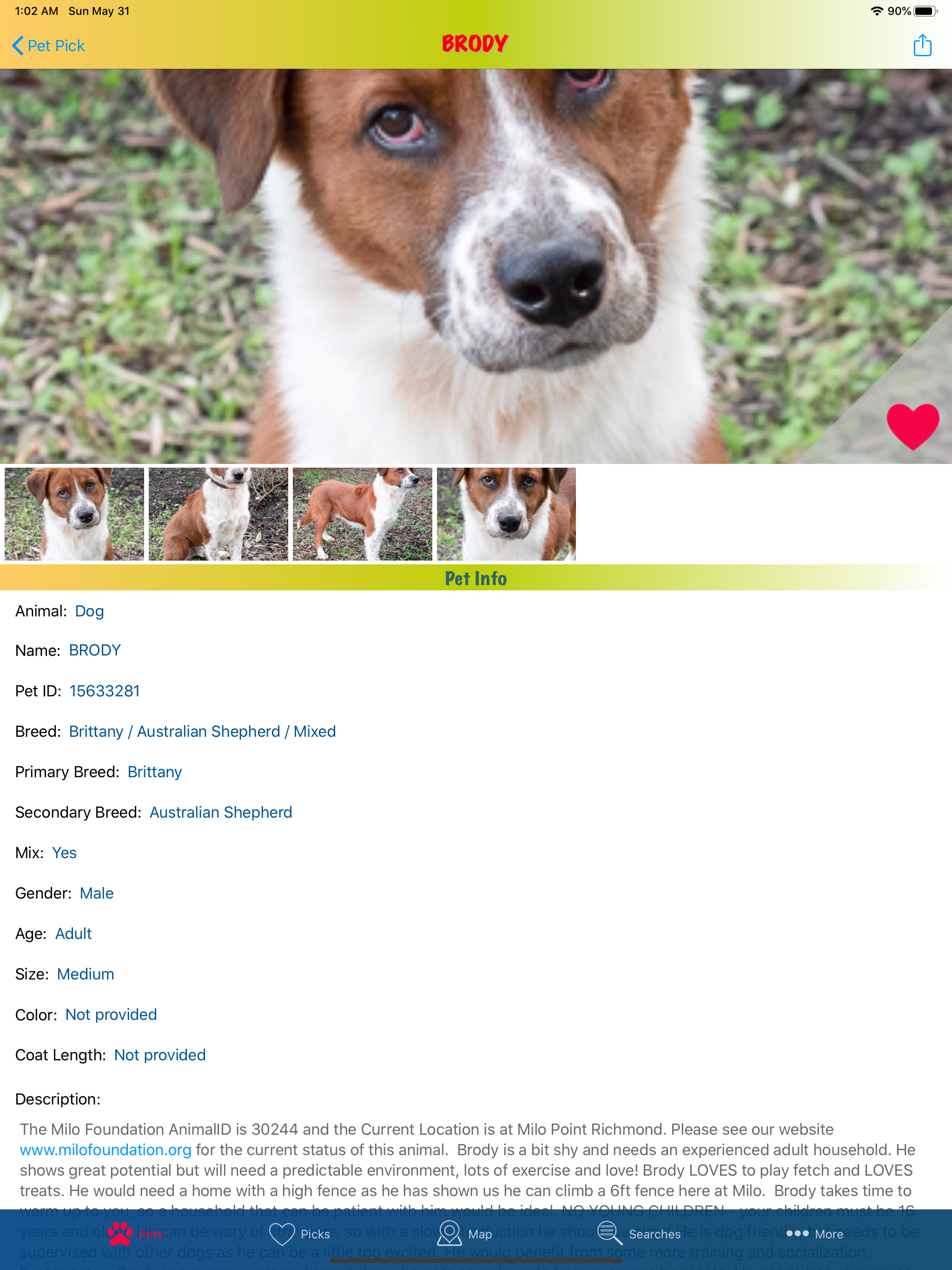 Pet Pick screenshot 16