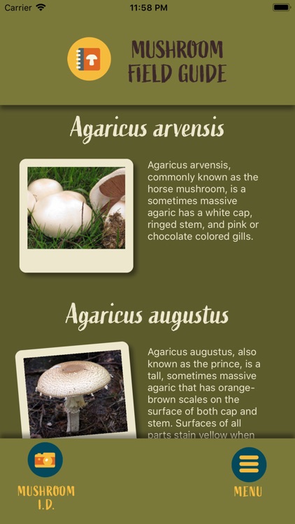 Snout: Mushroom Identification screenshot-6