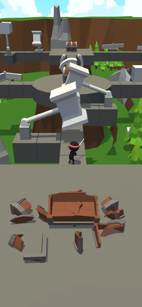 Crazy Ninja!