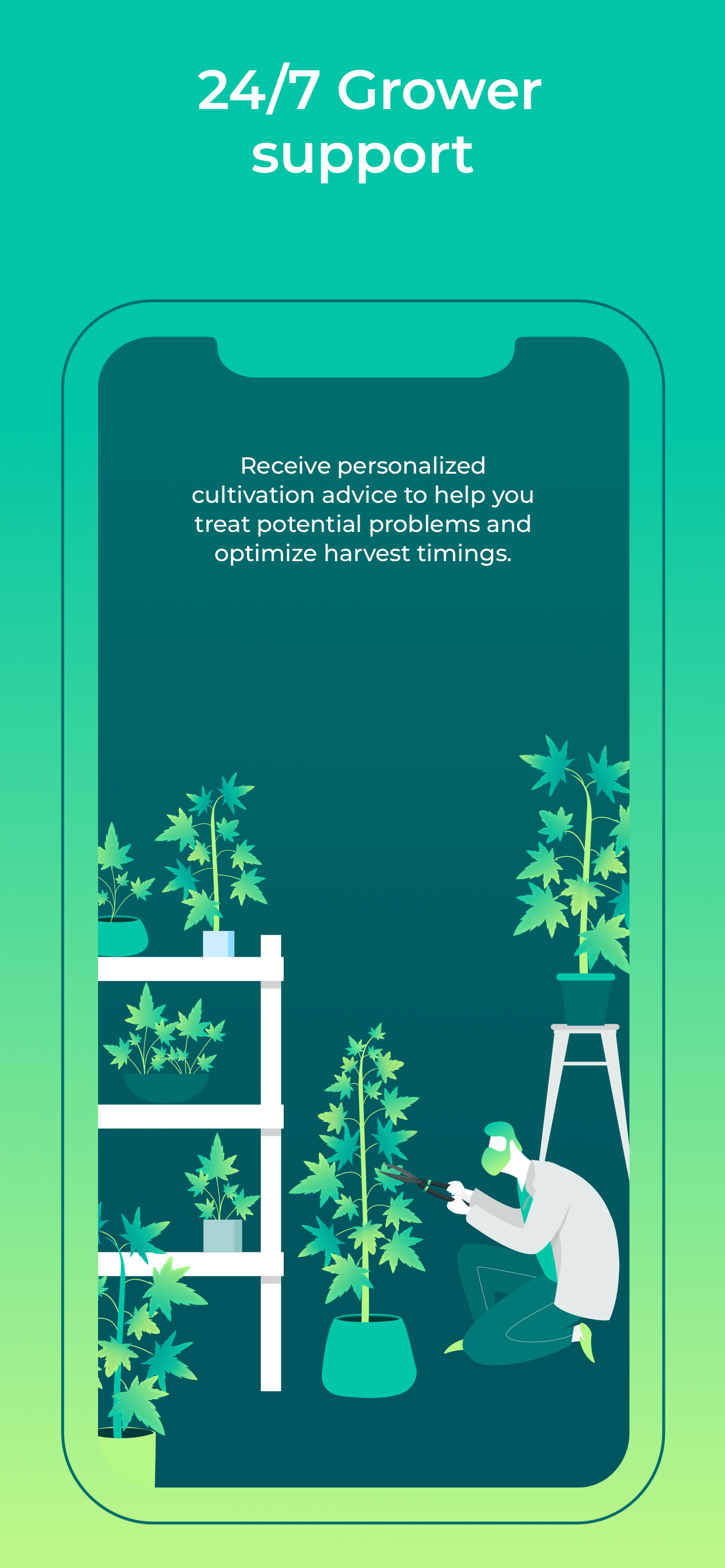 HiGrade: Cannabis Testing