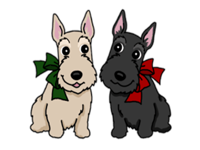 Cute Scottish Terrier Dog Icon