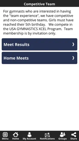 Game screenshot Gymnastics Inc. hack